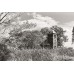 Фотоплівка ILFORD PAN F PLUS 50/120